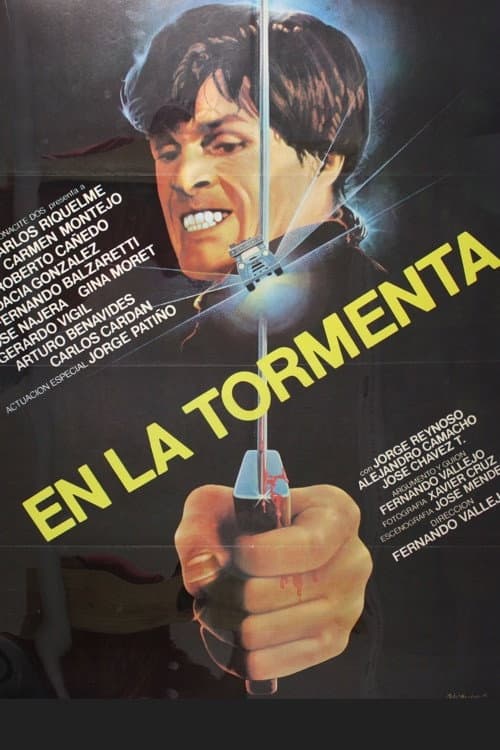 In the Storm (1982) poster