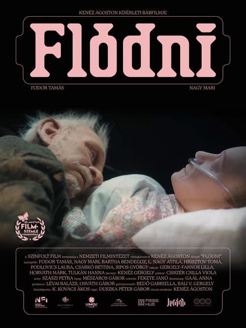 Flódni (2026) poster