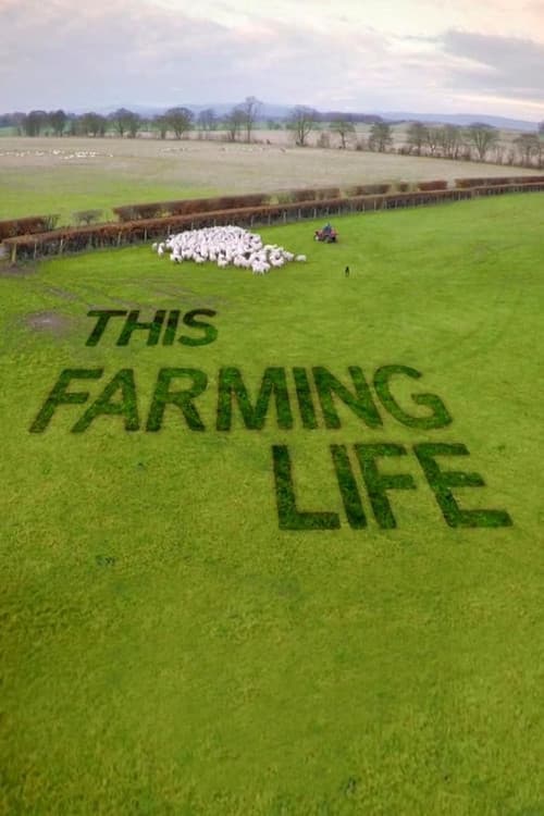 This Farming Life (2016) poster