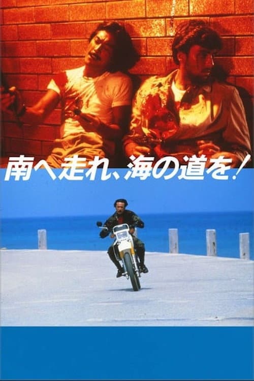 South to the Horizon (1986) poster