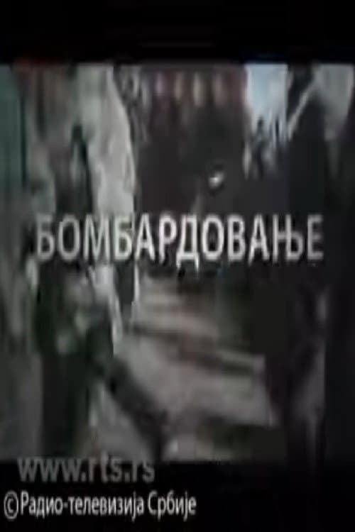 Bombardment (2009) poster