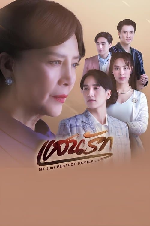 My (Im)Perfect Family poster