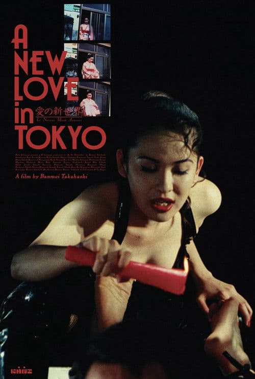A New Love in Tokyo (1994) poster