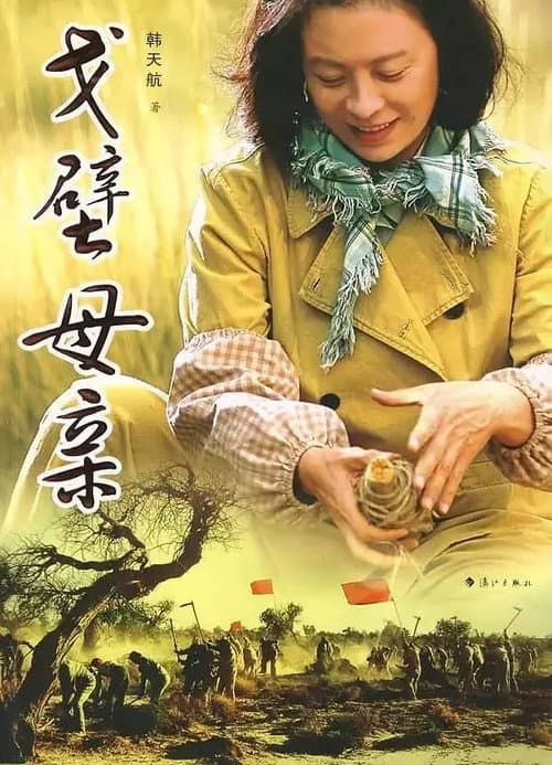戈壁母亲 (2007) poster