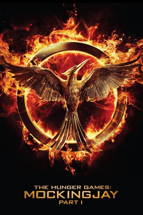The Hunger Games: Mockingjay - Part 1 (2014) poster