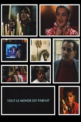 Everyone Is Perfect poster