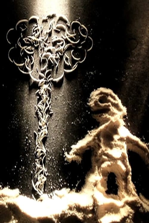 The Birth (2009) poster