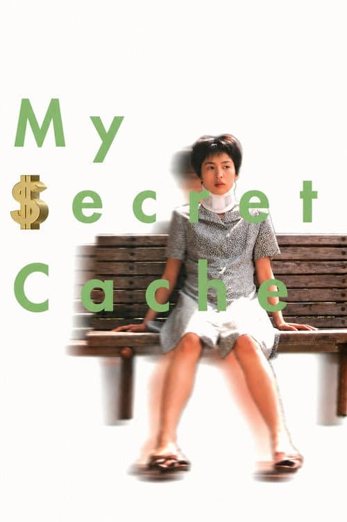 My Secret Cache (1997) poster