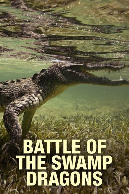 Battle Of The Swamp Dragons (2017) poster