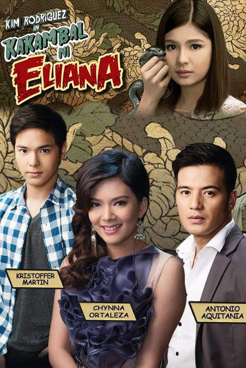 Kakambal ni Eliana (2013) poster