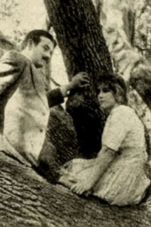 The Girl of the Grove poster