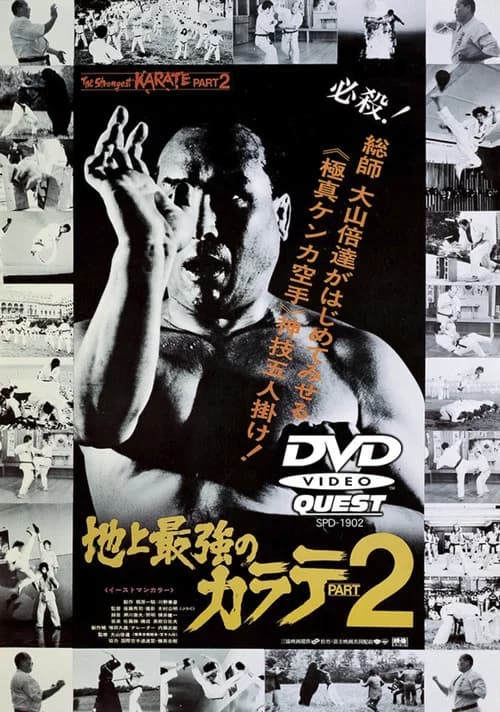 The Strongest Karate Part 2 poster