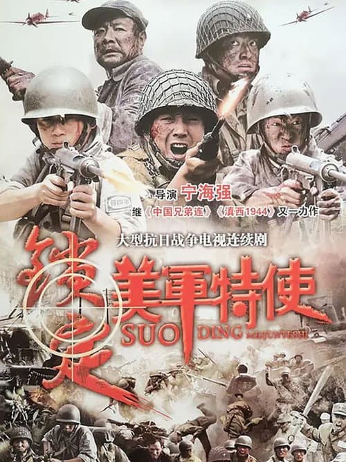 锁定美军特使 (2011) poster