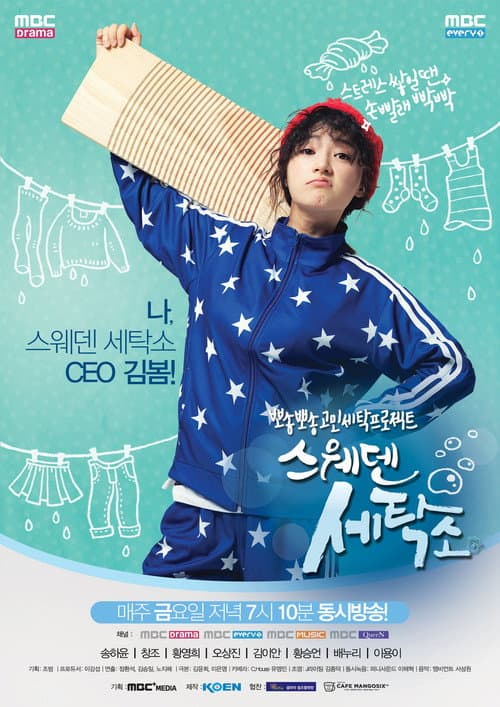 Sweden Laundry (2014) poster