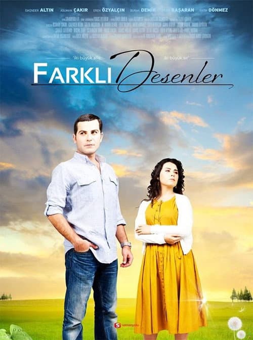 Different Patterns (2010) poster