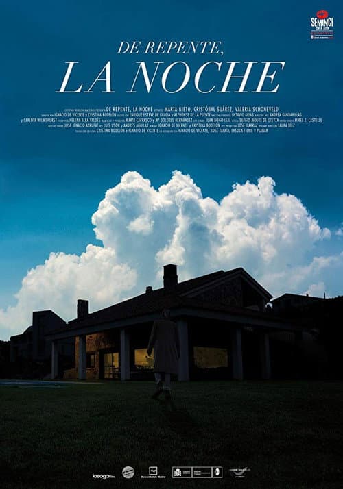 Suddenly, the Night poster