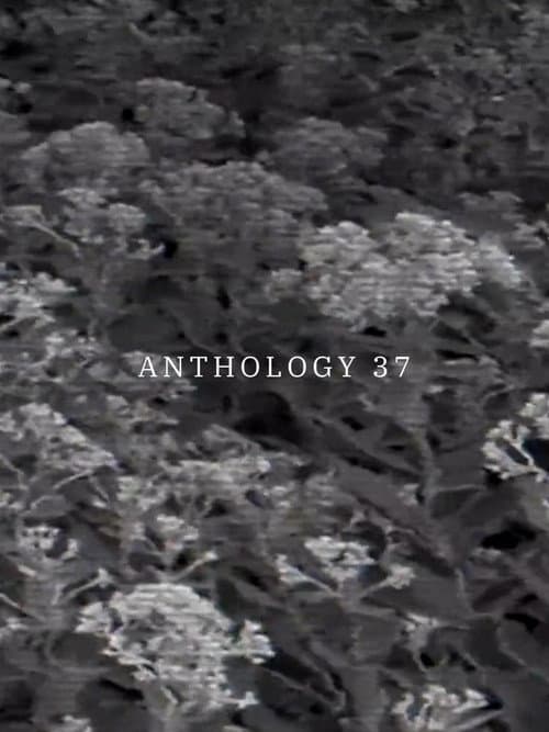 Anthology 37 poster