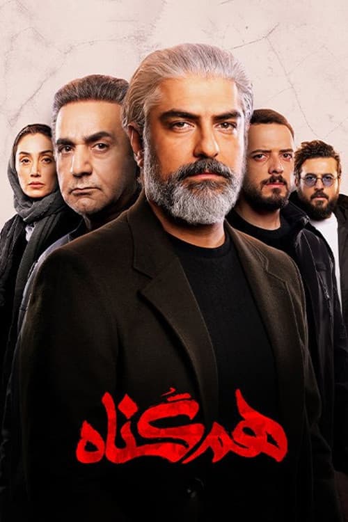 The Accomplice poster