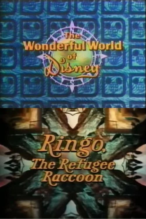 Ringo, the Refugee Raccoon (1974) poster