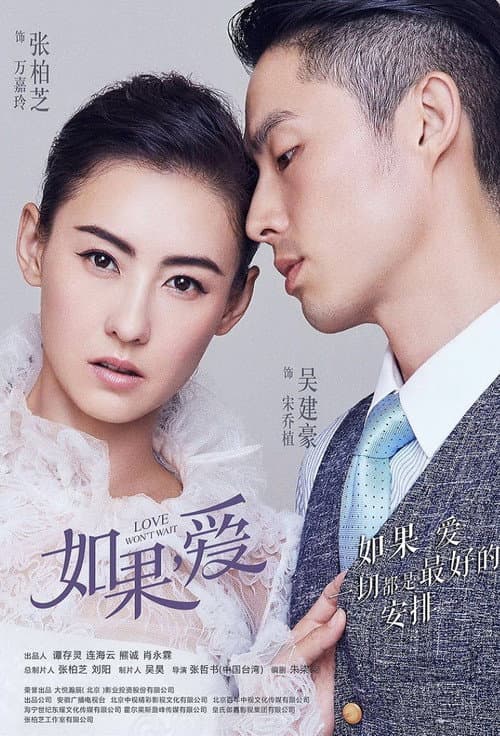 Love Won't Wait (2018) poster