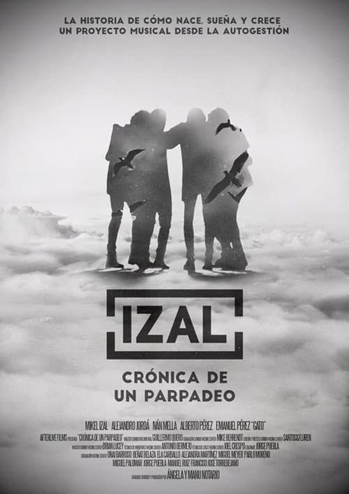 Crónica de un parpadeo poster