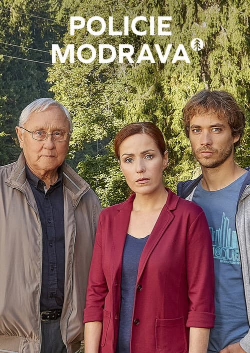 Policie Modrava (2011) poster
