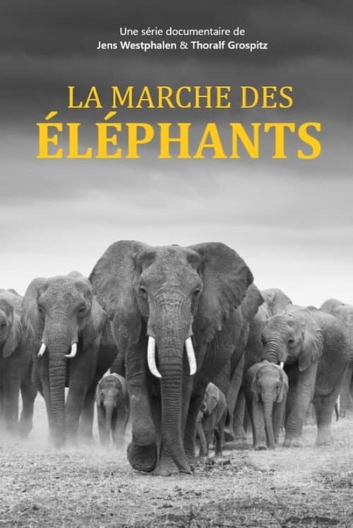 Elefanten hautnah (2018) poster