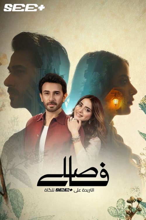 Faaslay poster