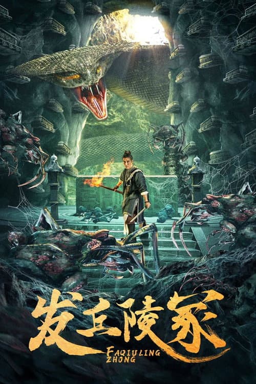 发丘陵冢 (2023) poster