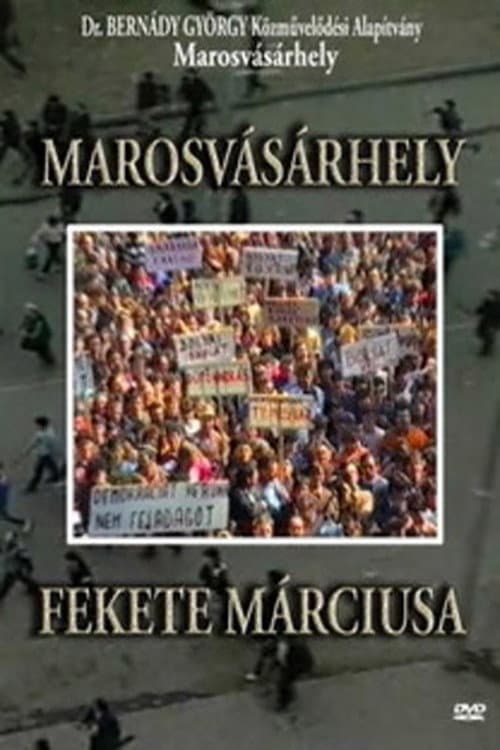 Black March of Târgu Mureș (2010) poster