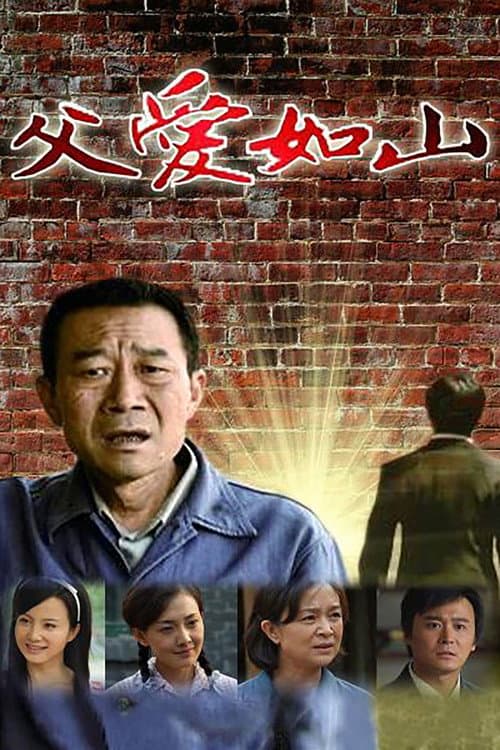Father's Love Like a Mountain (2010) poster