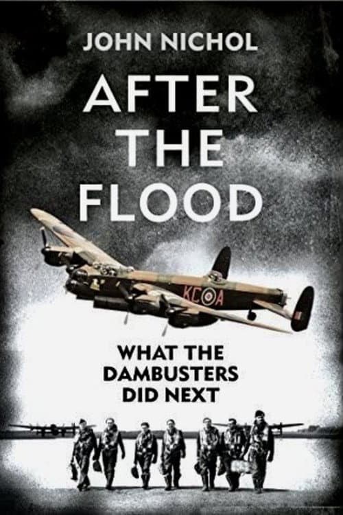 What the Dambusters Did Next (2014) poster