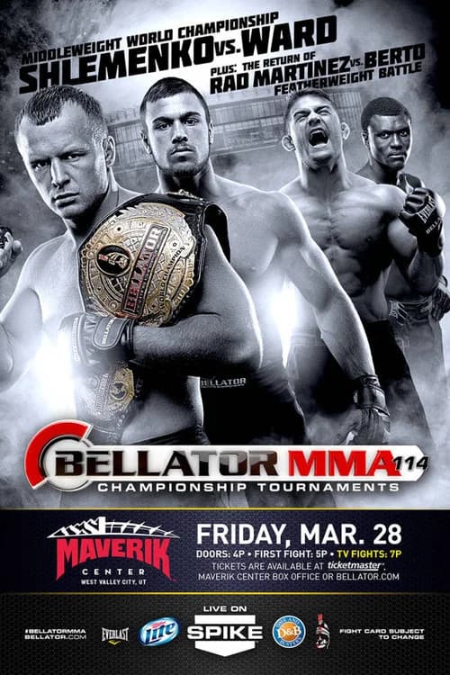 Bellator 114 poster
