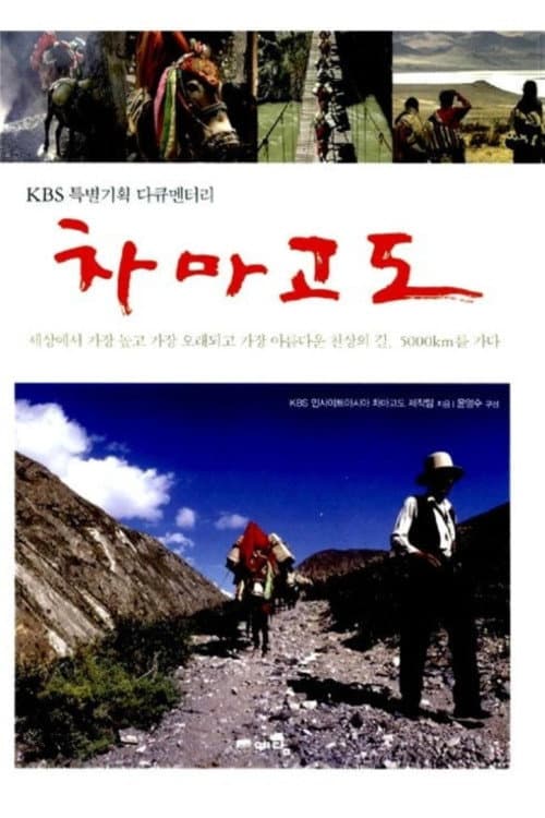 Asian Corridor in Heaven (2007) poster