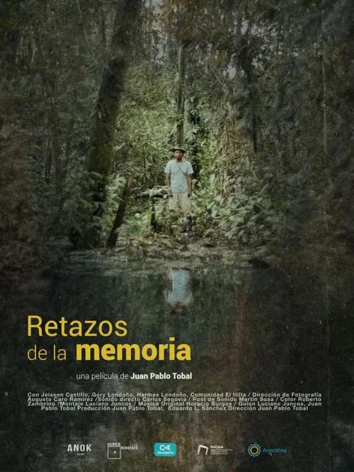 Remnants of memory poster
