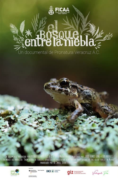 El bosque entre la niebla (2024) poster