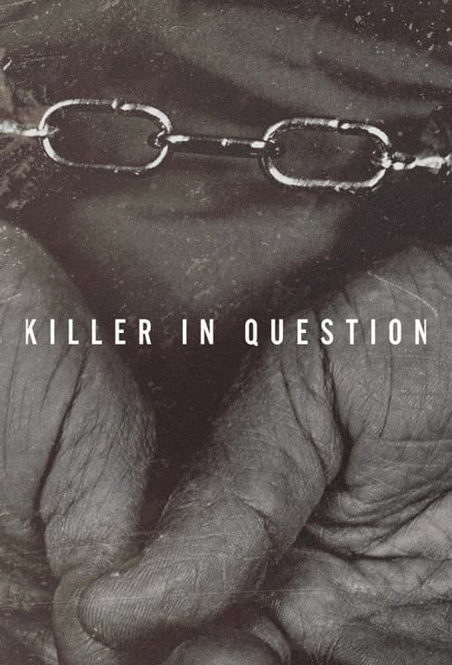 Killer In Question (2020) poster