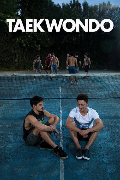Taekwondo (2016) poster