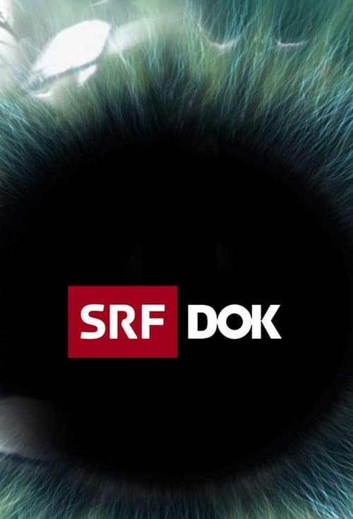 SRF DOK (1990) poster