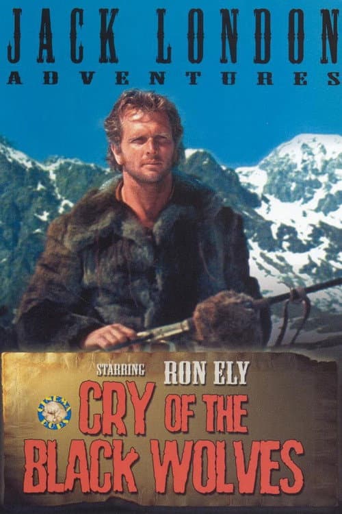 Cry of the Black Wolves (1972) poster
