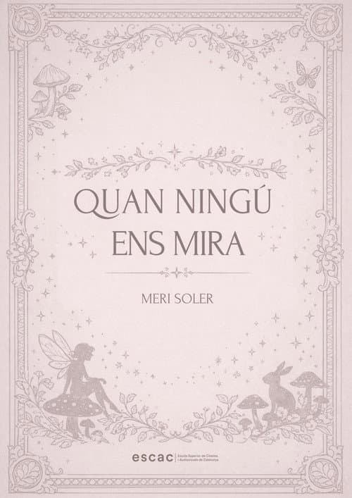 Quan ningú ens mira poster