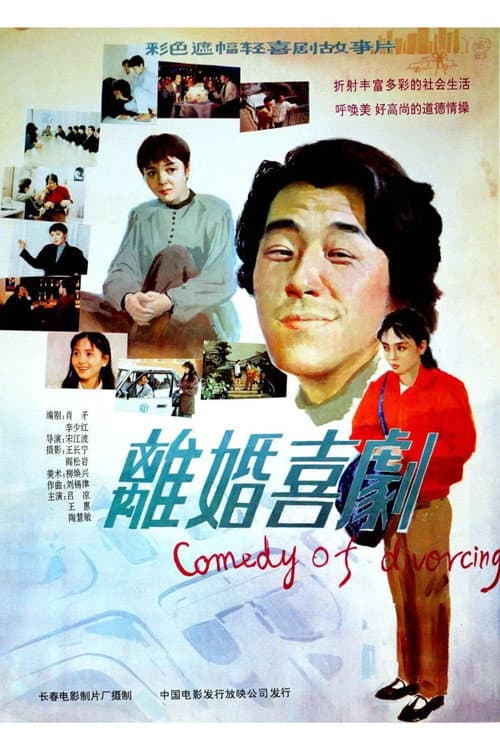 Comedy of Divorce poster