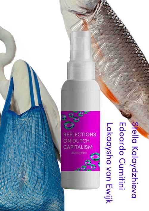 Reflections on Dutch Capitalism; Zero Sugar version poster