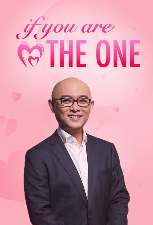 If You Are the One (2010) poster