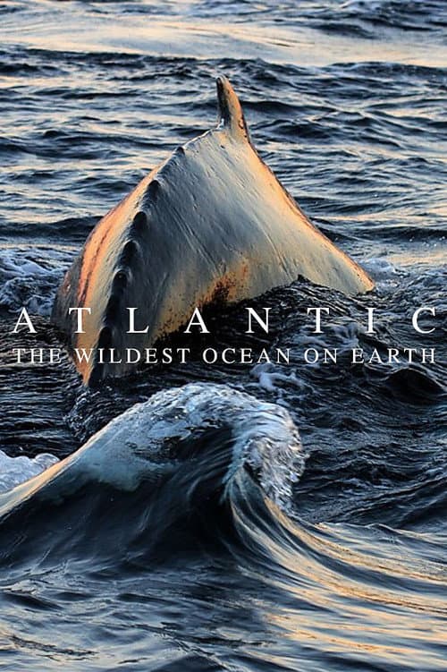 Atlantic: The Wildest Ocean on Earth (2015) poster