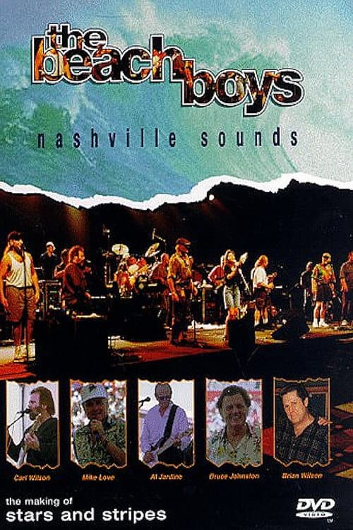 The Beach Boys: Nashville Sounds (1996) poster
