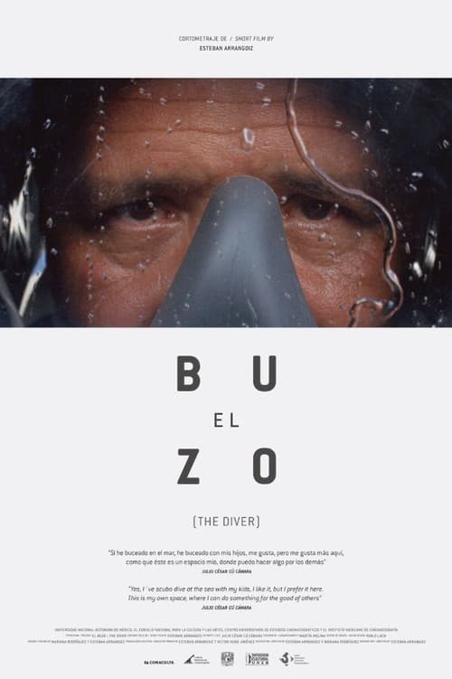 The Diver (2015) poster