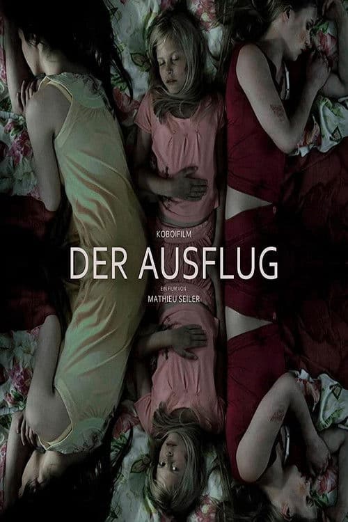 The Outing (2012) poster