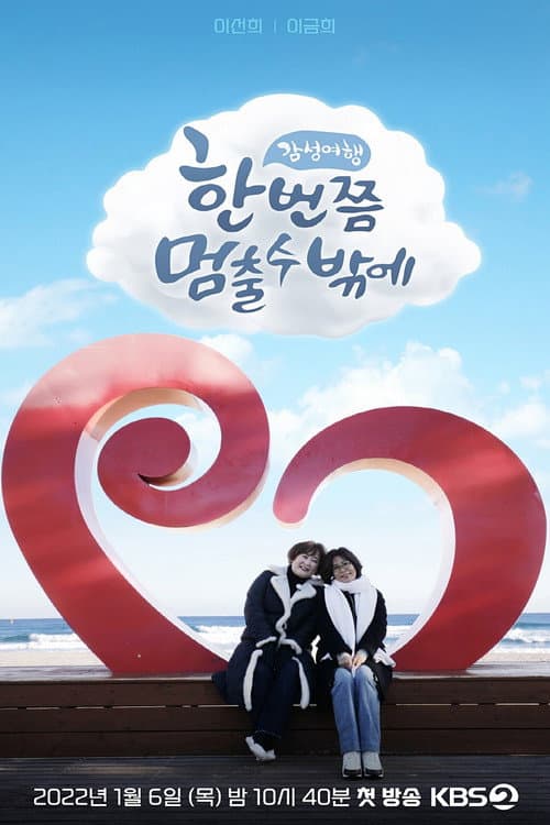 한 번쯤 멈출 수밖에 (2022) poster
