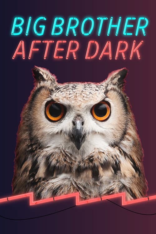 Big Brother After Dark poster